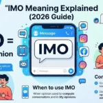 IMO Meaning